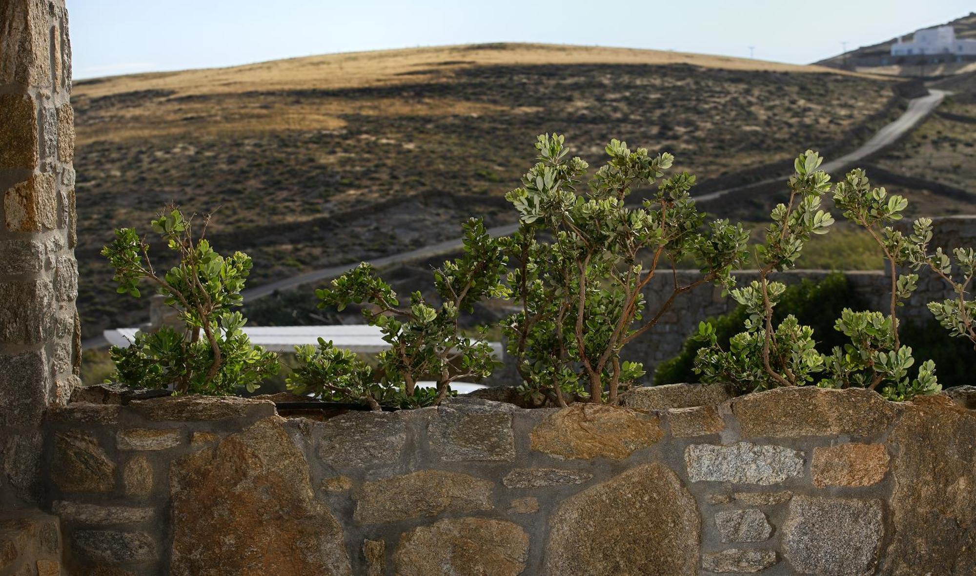 شقة Vlia Mykonos كالافاتيس المظهر الخارجي الصورة